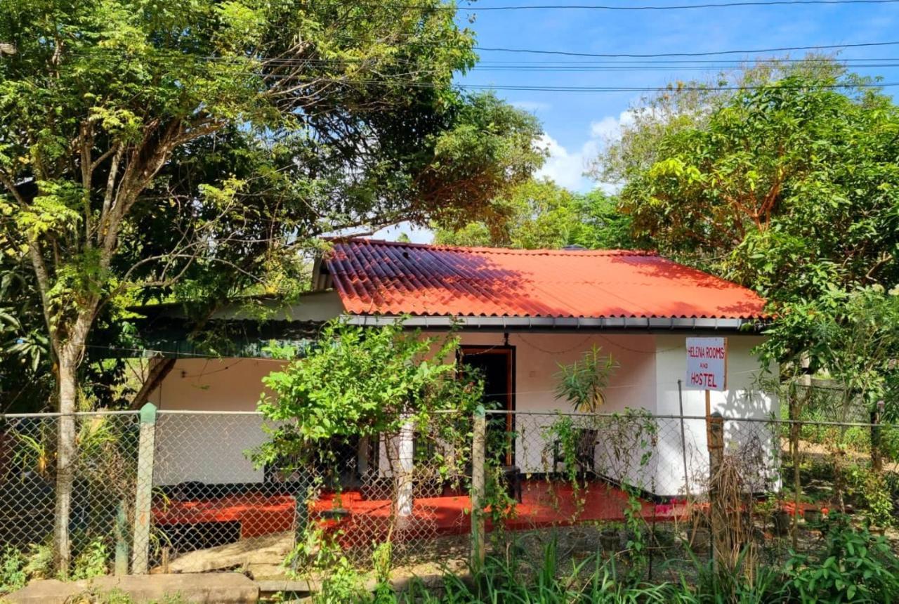 Helena Hostel ديكويلاّ تين المظهر الخارجي الصورة