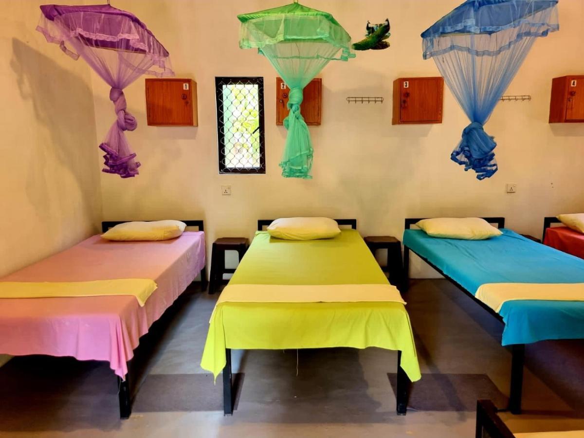 Helena Hostel ديكويلاّ تين المظهر الخارجي الصورة