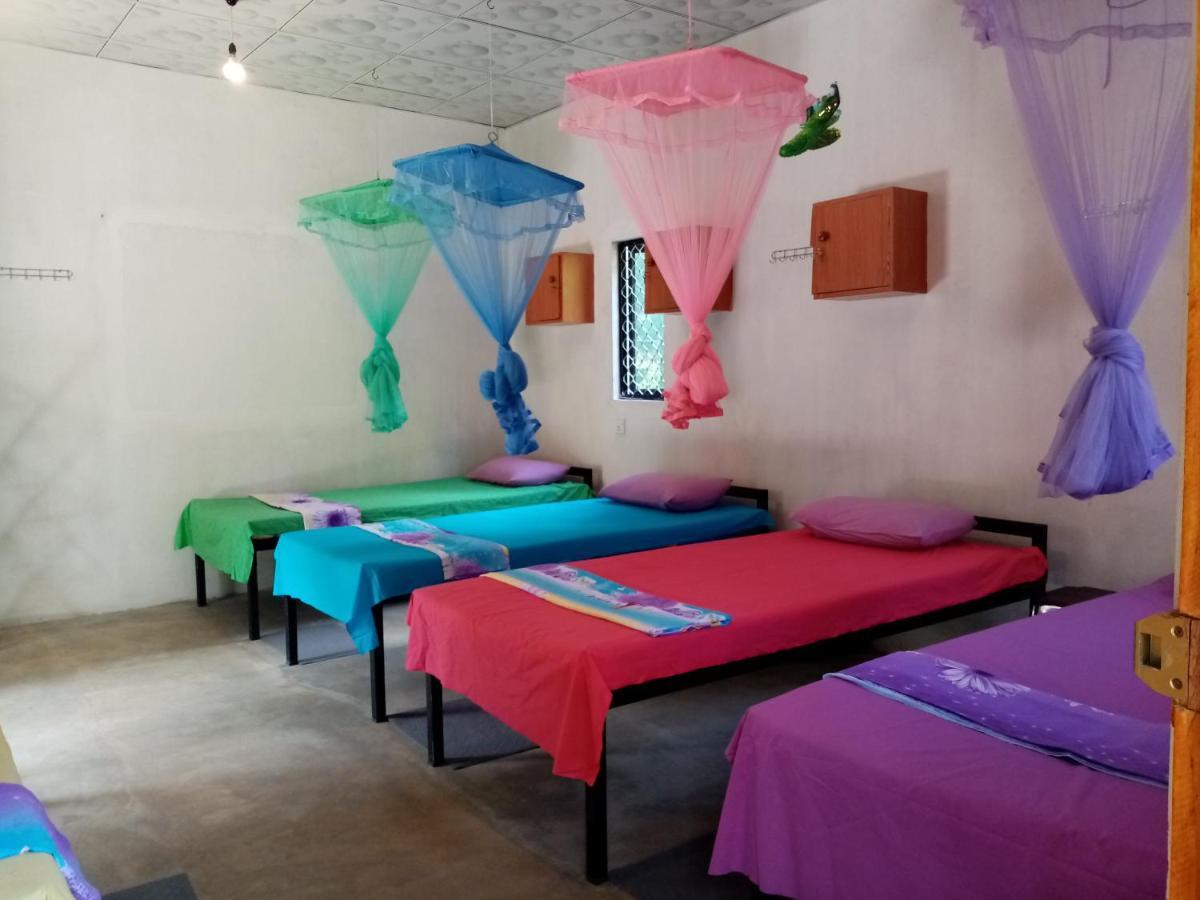 Helena Hostel ديكويلاّ تين المظهر الخارجي الصورة