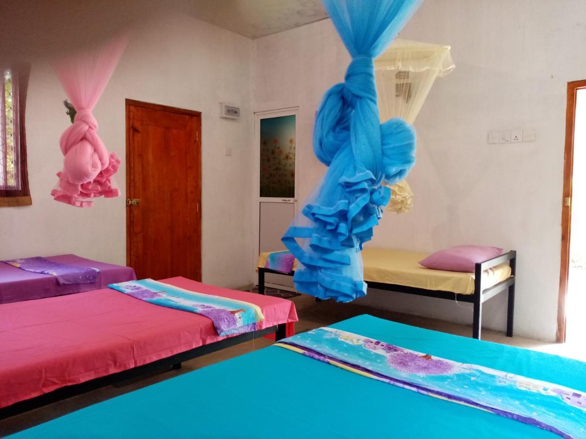 Helena Hostel ديكويلاّ تين المظهر الخارجي الصورة